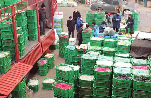 太原河西农副产品市场 菜篮子货丰价稳，保障民生供给