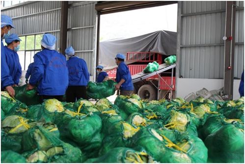 千里迢迢援沪情 云南漾濞县42吨农副产品抵奉贤