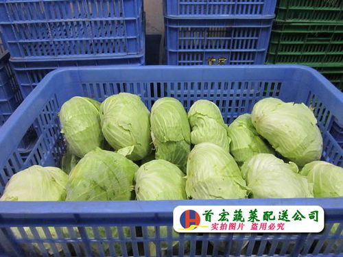 中堂农副产品批发市场2017年3月17日交易动态与市场观察