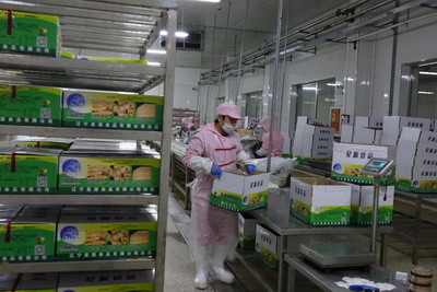 双鞍融合结硕果 携手前行谱新篇——农副产品产业的协同发展与未来展望