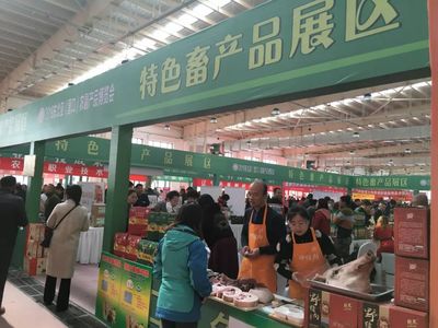 家乡的骄傲 2019东北亚(营口)农副产品博览会盛大启幕