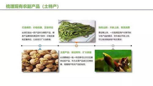 宜君园区经验分享 农副产品及土特产电商运营的盈利之道